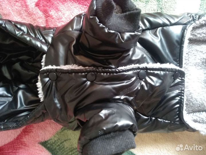 Комбинезон для собаки