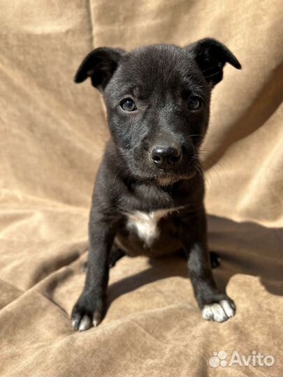 Мальчики и девочки