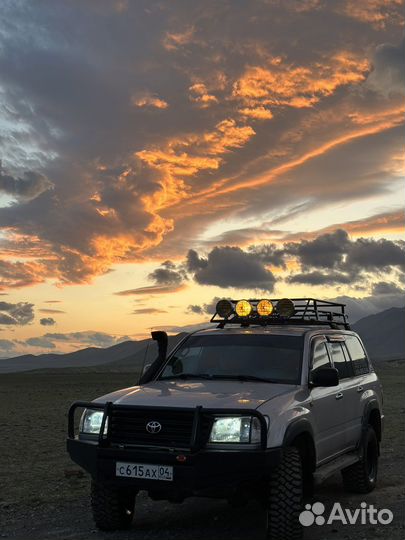 Туры по Горному Алтаю и Монголии