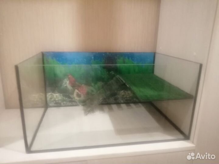 Террариум для черепахи