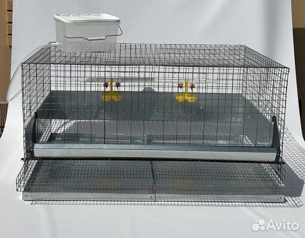 Клетки для кур несушек