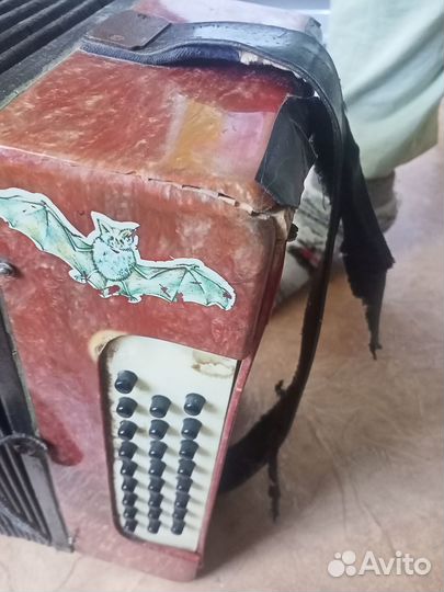 Гармонь восток