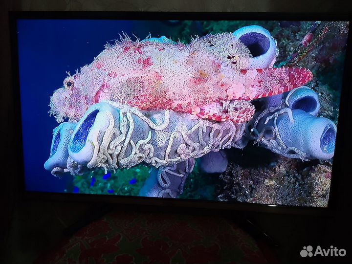 Телевизор haier 32