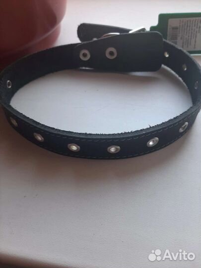 Ошейники новые