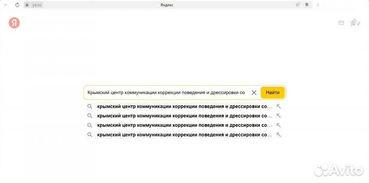 Кинолог. Дрессировка собак