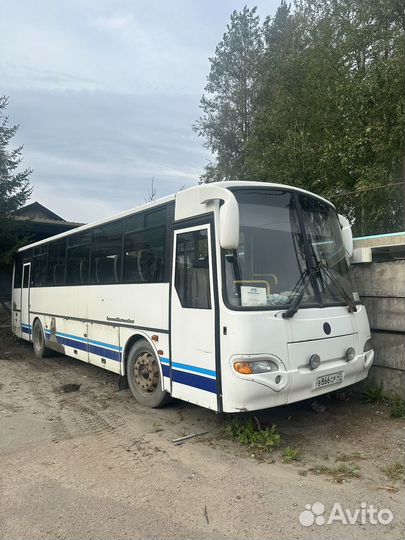Междугородний / Пригородный автобус КАвЗ 4238-61, 2011