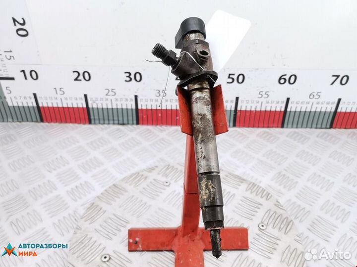 Форсунка Peugeot 407 2008 1980H1