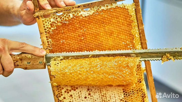 Пчелиные ульи