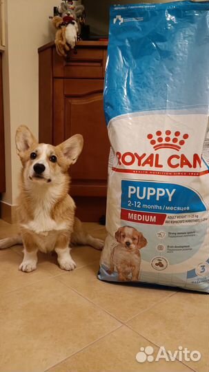 Сухой корм для щенков Royal Canin, Medium Puppy