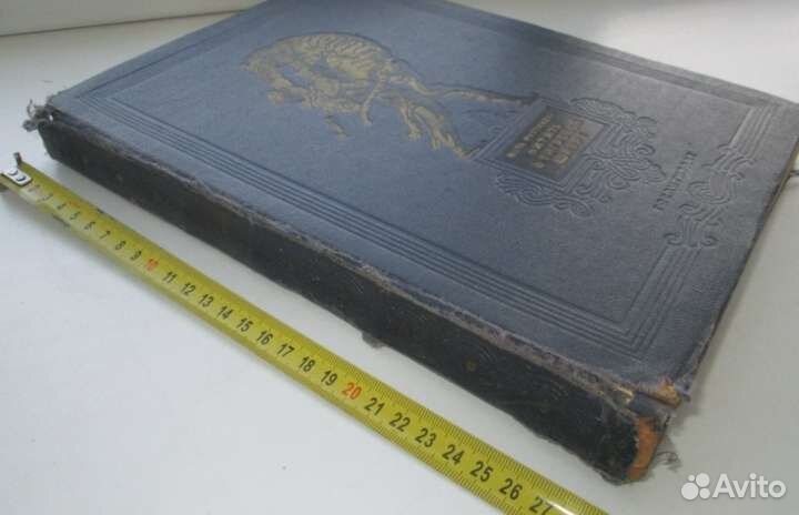 Шота руставели 