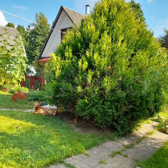 Дача 96 м² на участке 7 сот.