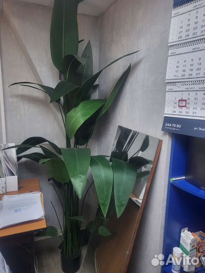 Искусственные цветы в горшках бу