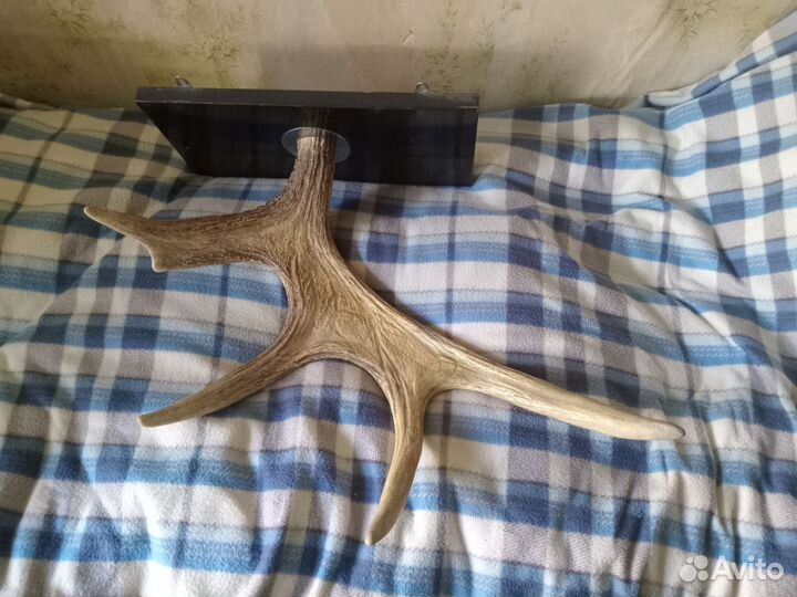 Вешалка рога