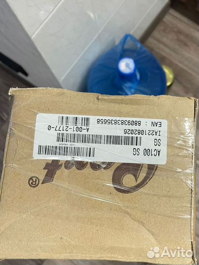 Классическая гитара cort ac100 sg