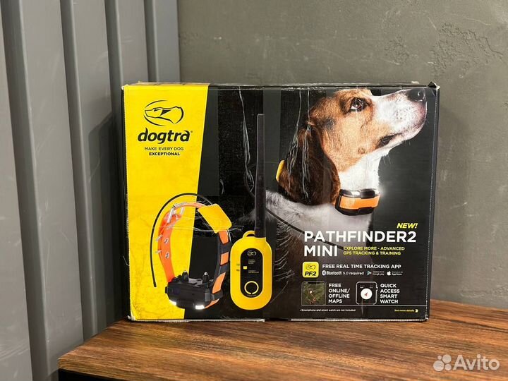 Dogtra Pathfinder 2 mini