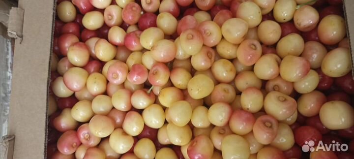 Белая черешня