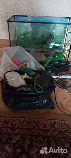 Аквариум