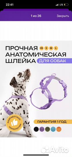 Анатомическая шлейка для собак PRO comfort