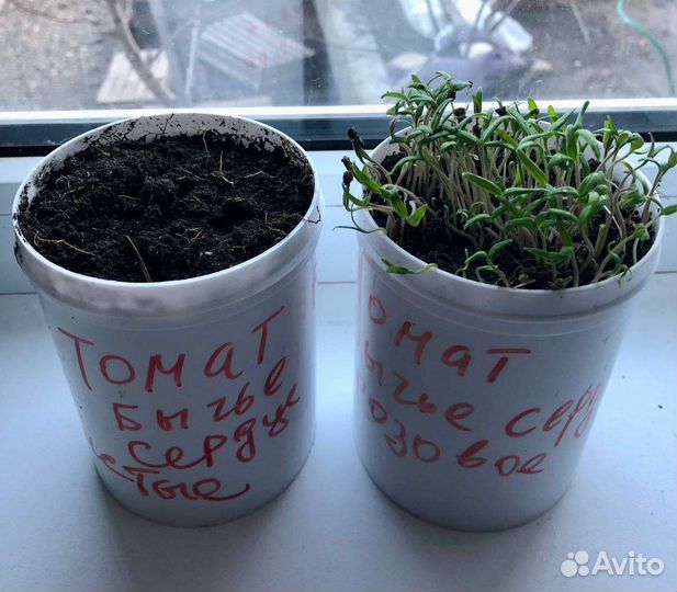 Удобрение Гумин Вертера