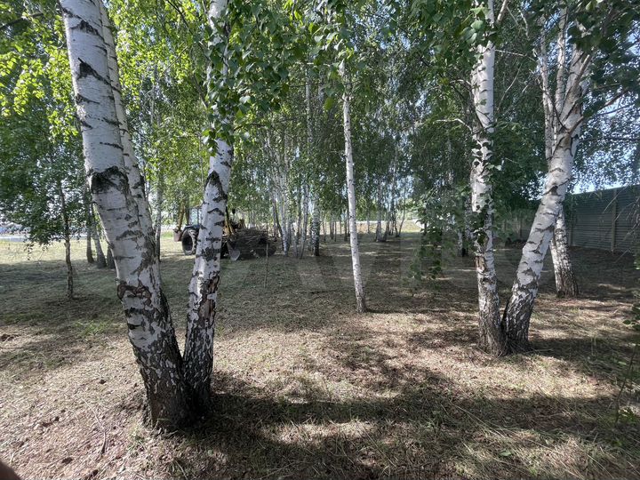 Участок 1,5 га (СНТ, ДНП)