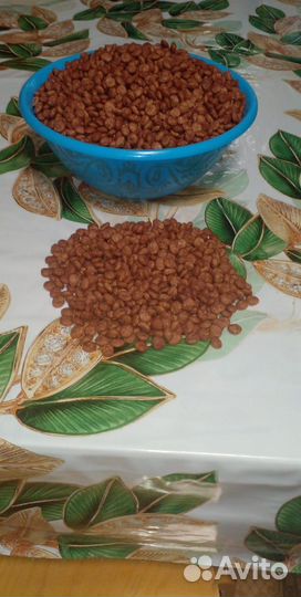 Сухой корм для собак