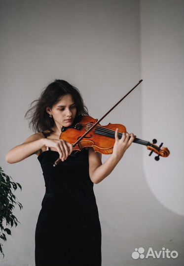 Репетитор по скрипке и сольфеджио очно и онлайн