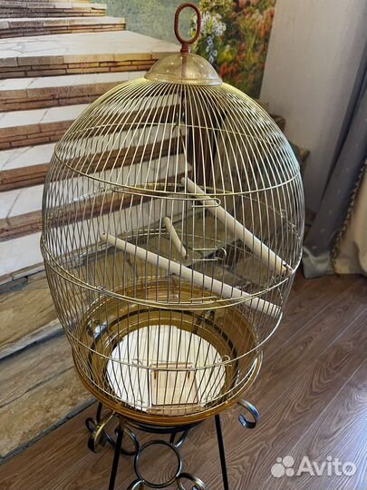 Клетка для попугая