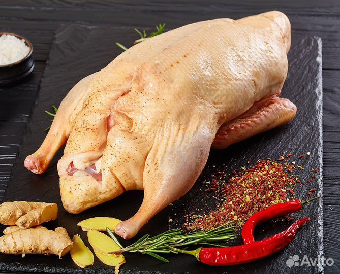 Продам тушки гусей домашних
