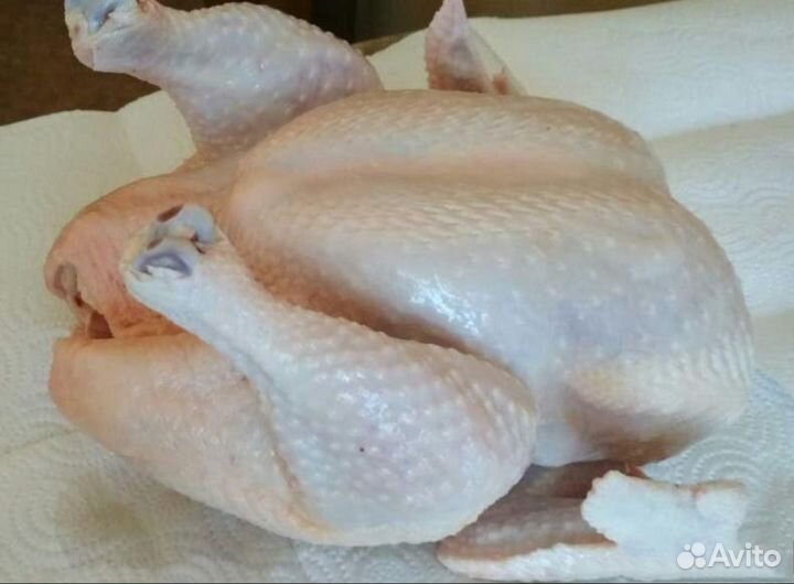 Мясо домашнего бройлера