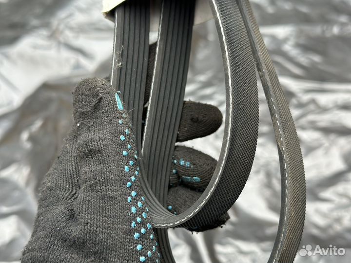 Ремень поликлиновый сервисный Gates Polo Rapid