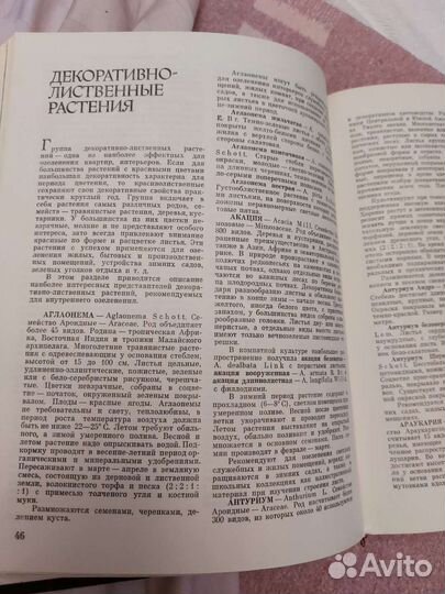 Декоративные растения 1981 г