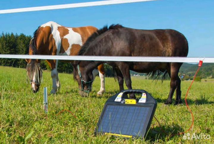 Электропастух для быков