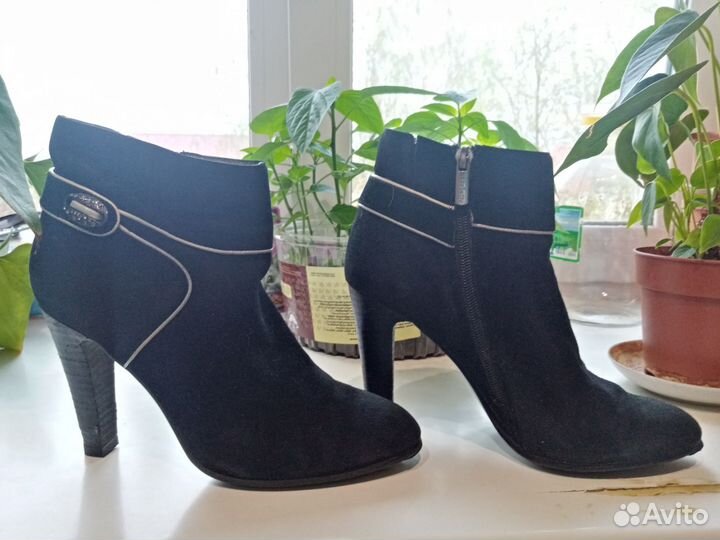 Сапоги женские замшевые осень весна