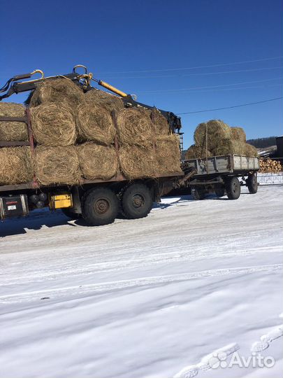 Продам Сено в рулонах