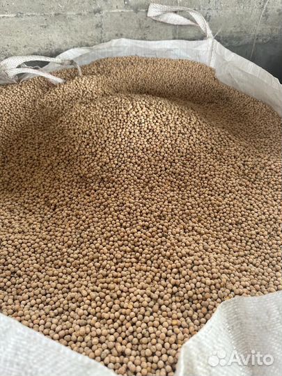 Горох кормовой