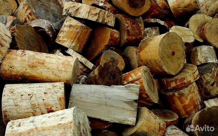 Дрова со Всеволожска