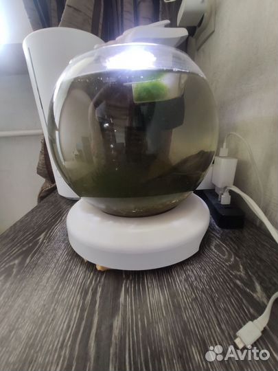 Аквариум с аэрацией и освещением 7л