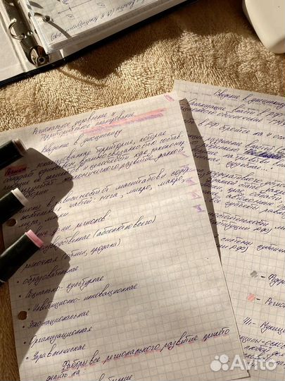 Пишу лекции