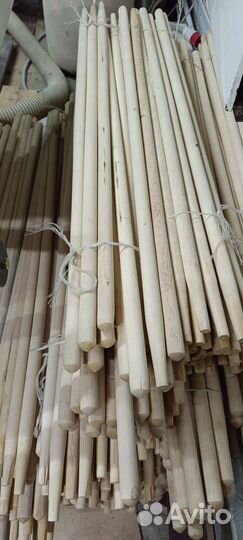 Черенки садовые берёза