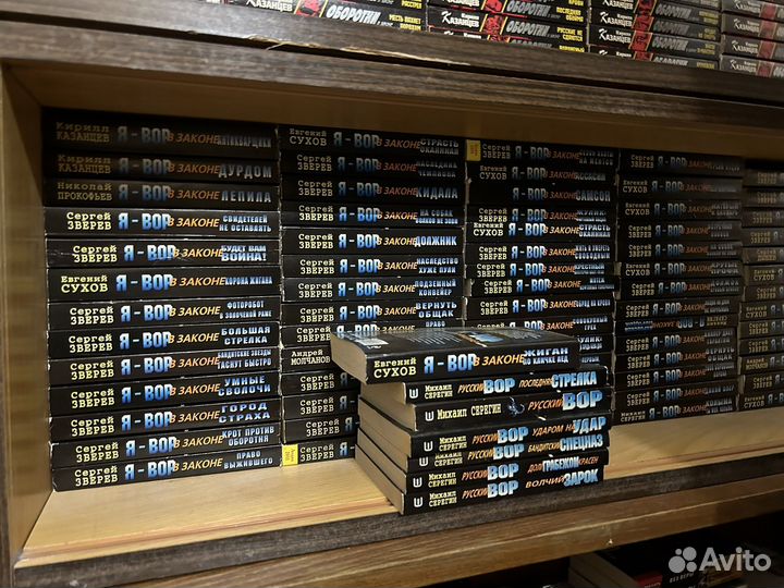 Сухов, Зверев книги Я Вор