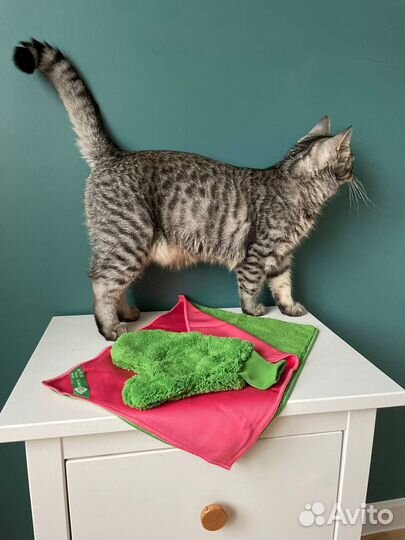 Продукция Greenway