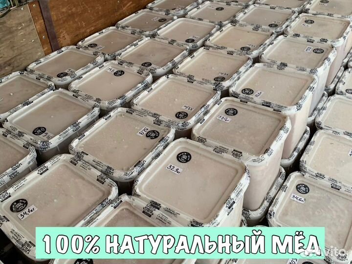 Мёд оптом с Aлтaйского крaя