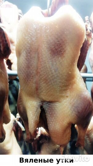 Копченые гуси