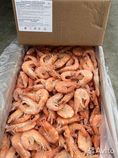 Креветка королевская 