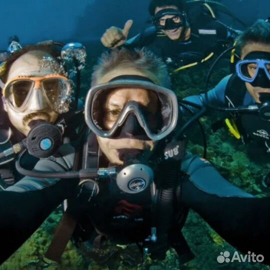 Дайвинг квест