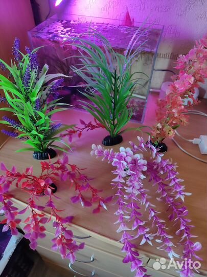 Все для аквариума