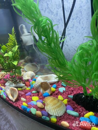 Аквариум