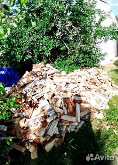 Дрова Ольха навалом в Приозерске