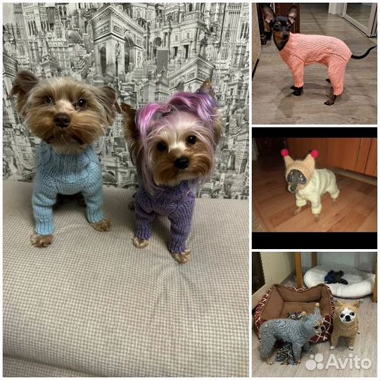 Одежда для собачек