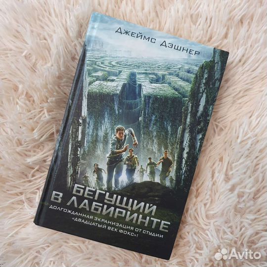 Бегущий в лабиринте